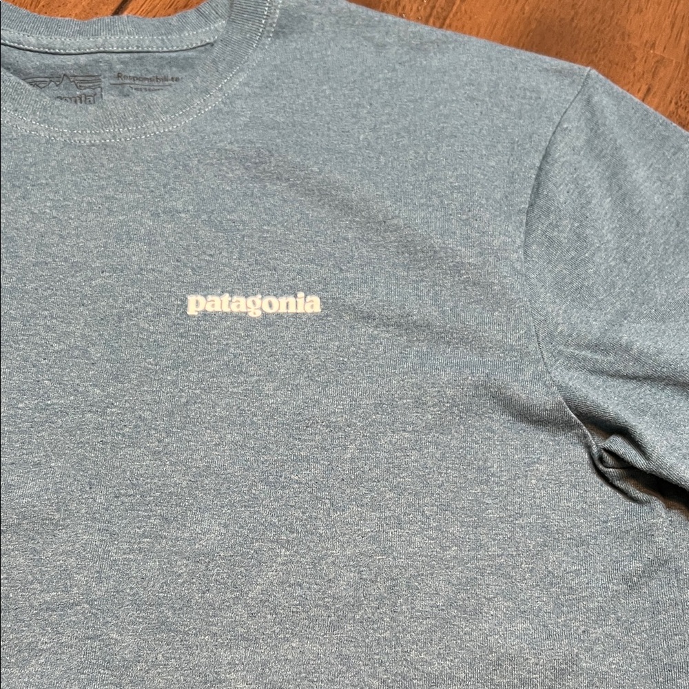 Patagonia T shirt